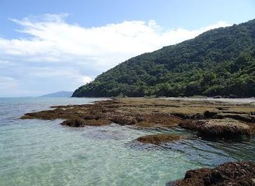 australia/port-douglas/attraction/cape-tribulation