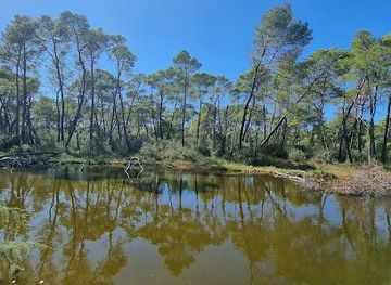 albania/kavaje/attraction/divjake