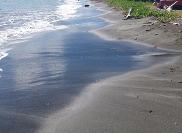 grenada/saint-andrew/attraction/black-sands-beach