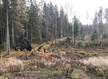 estonia/lahemaa/attraction/vosu-nommeveski-matkarada