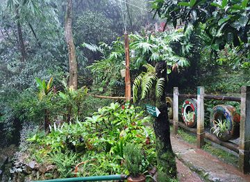 philippines/cordillera-administrative-region/attraction/tam-awan-village