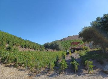 california/oceanside/attraction/sunmist-tangerine-farm