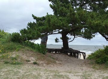 virginia/chesapeake-bay-region/attraction/sarah-constant-beach-park