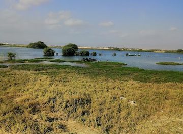 oman/salalah-coastal-plain/attraction/dahariz-birds-watching