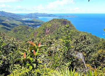 seychelles/ile-therese/attraction/tea-tavern-nature-walk