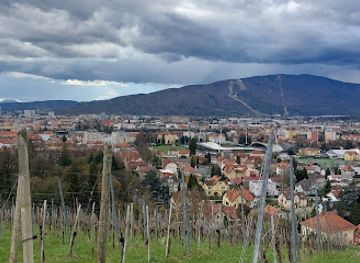 slovenia/maribor/tabor/attraction/mestni-vrh
