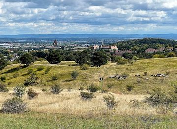 austria/vienna-woods/attraction/perchtoldsdorfer-heide