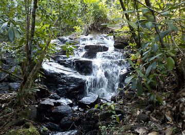 brazil/itacare/attraction/fazenda-jasmim