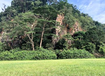 singapore/bukit-timah/attraction/bukit-timah-mountain-bike-trail