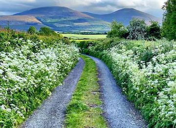 ireland/county-waterford/attraction/the-knockmealdown-mountains