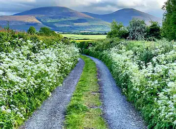 the knockmealdown mountains