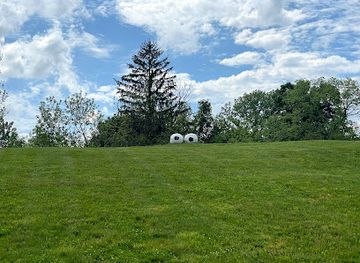 indiana/carmel/attraction/googly-eyes