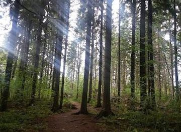 finland/helsinki/attraction/helsinki-central-park