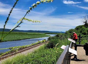 minnesota/mississippi-river/attraction/brownsville-wildlife-overlook