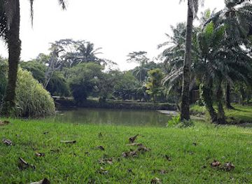 gabon/estuary-province/attraction/sibang-arboretum