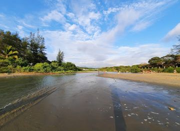 ecuador/montanita-beach/attraction/manglar-el-mogote-olon