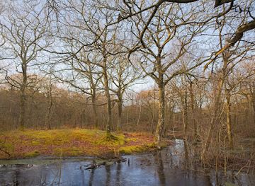 denmark/fano/attraction/skovhaven-torp-plantage