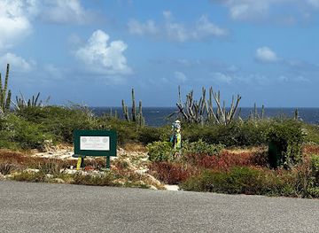 aruba/pos-chiquito/attraction/peace-labyrinth
