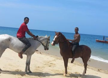 tanzania/zanzibar-city/kiwengwa/attraction/funzibar-horses