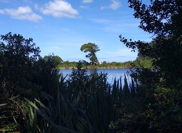 new-zealand/whanganui/attraction/westmere-lake