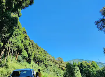 Pine View Spot