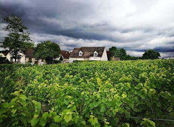 france/cote-des-blancs/attraction/champagne-billecart-salmon