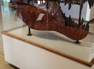 california/manteca/attraction/world-of-wonders-science-museum