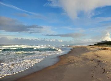 barbados/bridgetown/attraction/morgan-lewis-beach