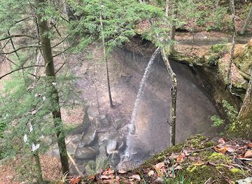 alabama/sipsey-wilderness/attraction/braziel-trailhead