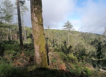 portugal/serra-da-lousa/attraction/marco-geodesico-do-espigao