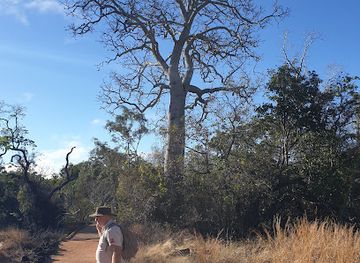 australia/southern-queensland/attraction/undara-volcanic-national-park