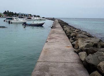maldives/raa-atoll/attraction/sting-ray-point