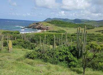 saint-lucia/tet-paul-scenic-trail/attraction/donkey-beach