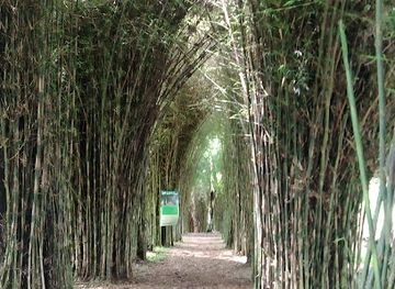 colombia/quindio-department/attraction/el-paraiso-del-bambu-y-la-guadua