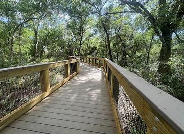 florida/tampa/attraction/sawgrass-lake-park