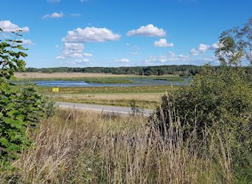sweden/norrkoping/attraction/herrebro-wetland