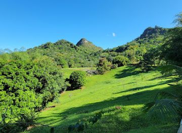 puerto-rico/central-mountain-range/attraction/hacienda-horizonte