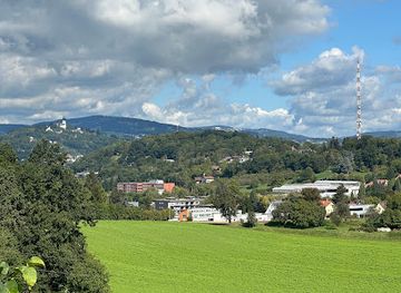 austria/muhlviertel/attraction/stiel-eiche-naturdenkmal