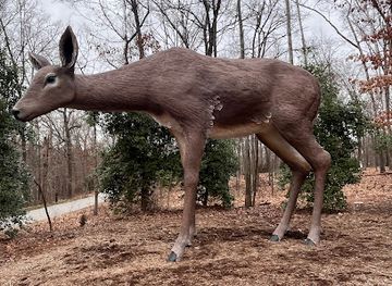 arkansas/bentonville/attraction/deer-sculpture-tony-tasset