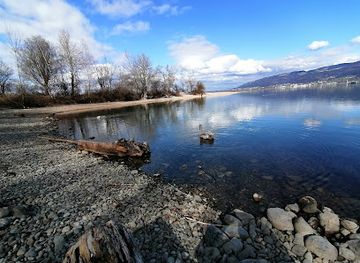 austria/bregenz/attraction/schweinebucht-naturschutzgebiet