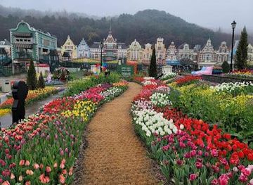 south-korea/suwon/attraction/everland