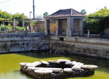 portugal/beira-litoral/attraction/quinta-da-fidalga