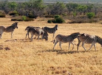 south-africa/bushveld/attraction/khwa-ttu-nature-reserve