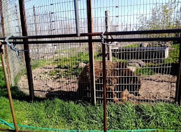 wisconsin/southeast-wisconsin/attraction/animal-haven-farm-zoo