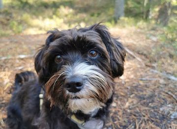 norway/ostfold/attraction/maggie-choo