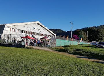 slovenia/velenje/attraction/pika-festival