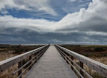 portugal/figueira-da-foz/attraction/passadicos-do-cabedelo
