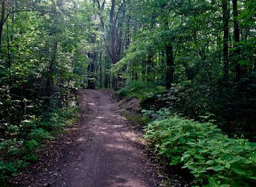 poland/silesia/attraction/millennium-park-in-sosnowiec