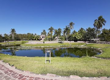 mexico/mazatlan/attraction/amaitlan-botanical-garden