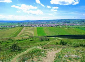 austria/neusiedler-see/attraction/hackelsberg